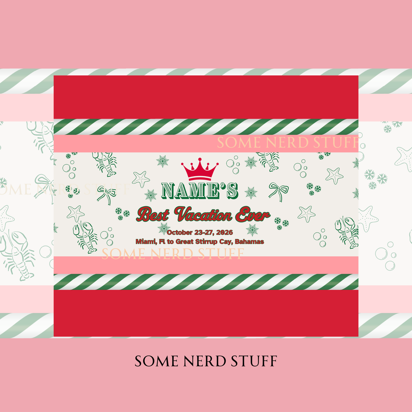 Christmas Cruise Tumbler -Best Vacation Ever